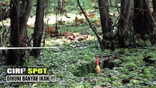 Pemancing manapun pasti yakin kalau spot ini banyak ikannya #SG-300