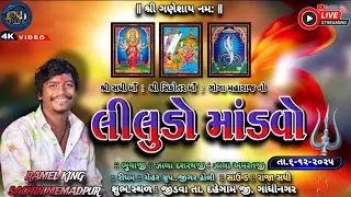 SHREE SADHI MATAJI NO PANCHAMO PATOTSHAW TATHA RAMEL || GAM- JINDAVA|| SB.STUDIO JINDAVA ||LIVE 2025