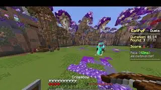 dying in cat pvp 100 times