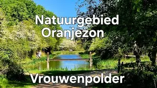 🇳🇱 Natuurgebied Oranjezon Vrouwenpolder 2025 @TravelwithHugoF #oranjezon #Vrlvouwenpolder