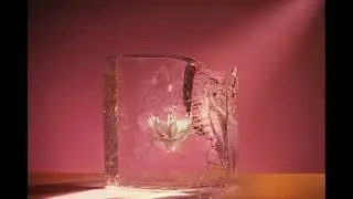Else - Zenith