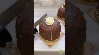 😋🍫 Insanely DELICIOUS Chocolate Cake 🍰👅 Must Watch! #shorts  #food #tastytreats #delicious #foodie