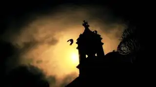 PSICORRAGIA - LA ORDEN DEL CAOS