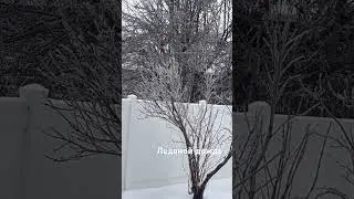 #видео #дождь #ледник #лед #погода #кентукки #мемы