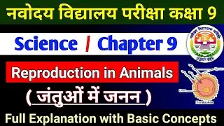 Jnvst Class 9th Science | Ch 9 Reproduction in Animals (जंतुओं में जनन) | Notes & Explanation 8th