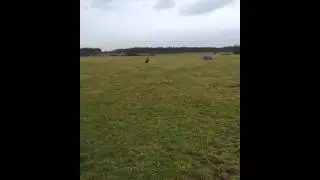 Kiten macht schon Spa&szlig;