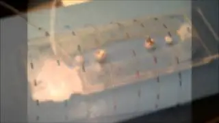Mitos Dropix - Nanolitre Droplets
