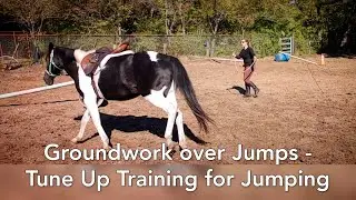 Groundwork over jumps - Tune up training