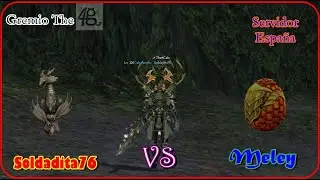Primer Meley Solo, Nos Ponemos a Prueba Soldadit@s!! TeaM The4Cats Metin2.es