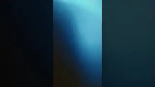8 сентября 2023 г.