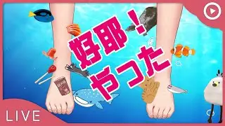 【歡呼】溫泉魚視角YATTA🎉病病人今天也要早點休息 🎀魔法少女花咲🎀