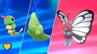 HOW TO Evolve Caterpie into Butterfree in Pok&eacute;mon Sword and Shield