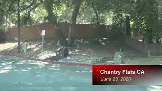 Open & People are Out Enjoying / Chantry Flats CA  6.23.20