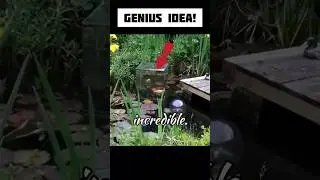 Genius Idea for Fish tank💡🤔