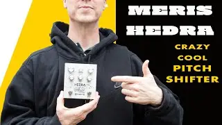 The Totally Unique World of Pitch Shifting Delay.