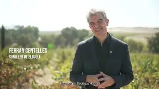 La comunicaci&oacute;n del vino: M&aacute;s que palabras con Ferran Centelles