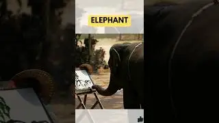 Animals That Use Tools! #shorts #viralvideo