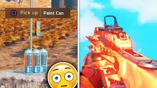 How To UNLOCK BLACKOUT CAMOS & Where To Find Paint Cans!