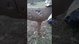3d deer against Martin Mamba