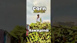 Garma Garam Chali | Rawalpindi Street Food Documentary | Corn Roasted in Hot Sand #foodshorts