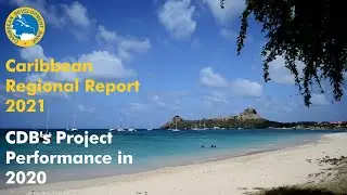 CDB Regional Report: Projects Review 2020