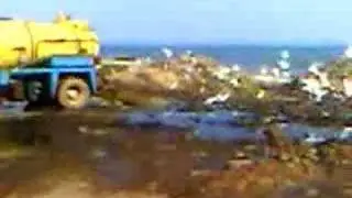 Accra septic waste into the Gulf of Guinea