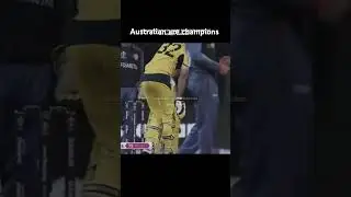 huge salute to Australian,#cricket #ytshorts