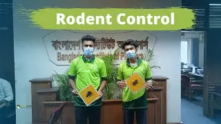 Pest control Services in Dhaka | How To Do Rodent Control Services | Easy Finish Pest Control.