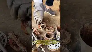 Copper Recovery: Skilled Workers Dismantling Retired Electric Motors