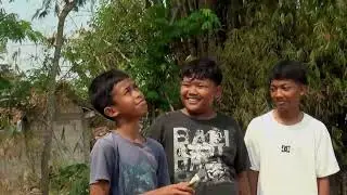 MTsN 2 NGAWI -  