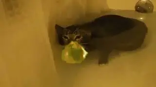 mlem cat remake