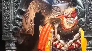 काशी कोतवाल बाबा काल भैरव दर्शन||श्री काल भैरव अष्टकम||श्री काल भैरव संध्या आरती दर्शन🚩🚩🚩