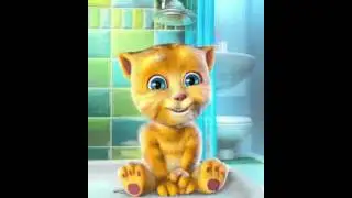 Talking Ginger mix