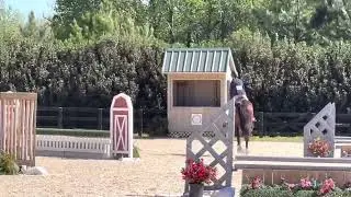 Foutlousse - horse show flat