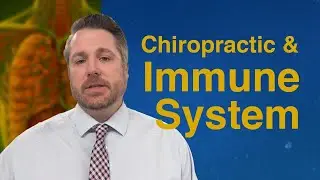 Boosting Immune Function During Flu Season &mdash; Chiropractor Downers Grove IL