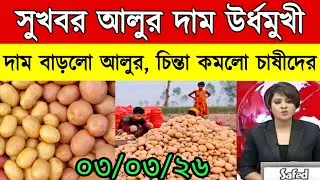 আজকের আলুর বাজার মূল্য/india potato news West bangal/Potato price today west bengal
