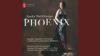 Phoenix Concerto, Op. 102: Allegro Molto