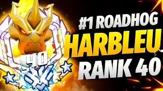 Harbleu Roadhog and Hammond gameplay! [ Overwatch Season 35 Top 500 ]
