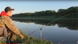 Карась РВЁТ поводки весенний ЖОР карася в самом разгаре РЫБАЛКА НА ДОНУ