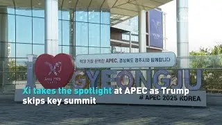 Xi Takes Center Stage at APEC as Trump Skips Summit