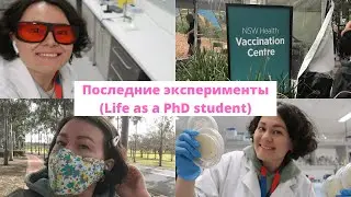 Горбатые киты, последние эксперименты, новый компьютер и вакцинация (влог) 🐋🔬👩🏻&zwj;💻💉