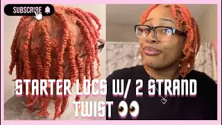 Two Strand Twist Starter Locs !!! *VERY DETAILED* | Loc Journey | DIY Starter Locs