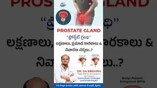 PROSTATE GLAND | ప్రోస్టేట్ గ్రంధి లక్షణాలు, ప్రమాద కారకాలు & నివారణ చర్యలు..?