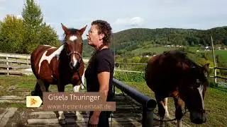 Reiturlaub Bayern