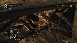 Demon's Souls - 27 - my demon's souls is eroded and full of bugs