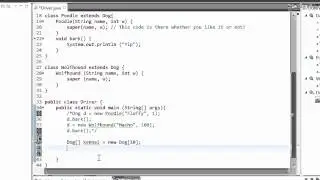 Tutorial 16 - Polymorphism in Java