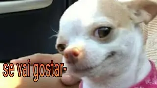 Melhor tente n&atilde;o rir/do canal semdente