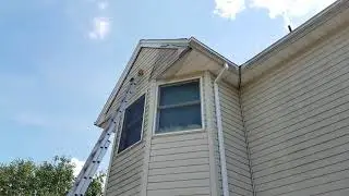 Bat removal from Attic Somerset County | Basking Ridge NJ 732 698 8387