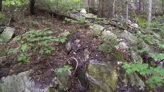 Hiking to Peak 439, Nellie Lake