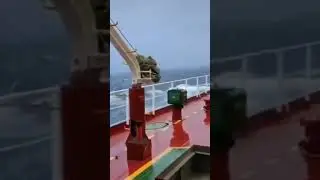 ⚓🌊🦅#marinelife #sea #ship #reels #explore #trending